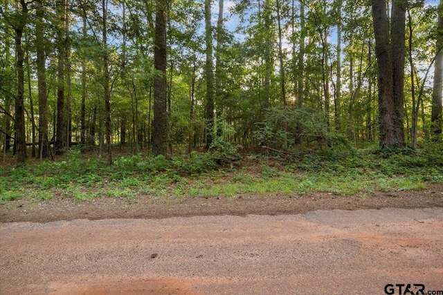 163 San Marcos St, Bullard, TX 75757 - photo 1