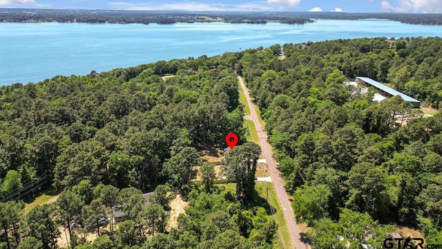 birds eye view of property with a water view and a forest view