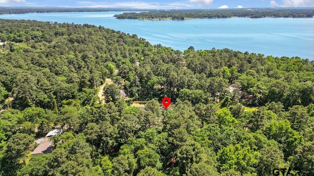 bird's eye view featuring a water view and a forest view