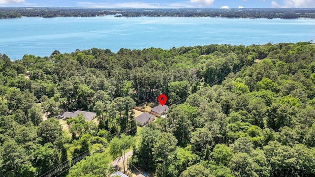 aerial view with a water view and a view of trees