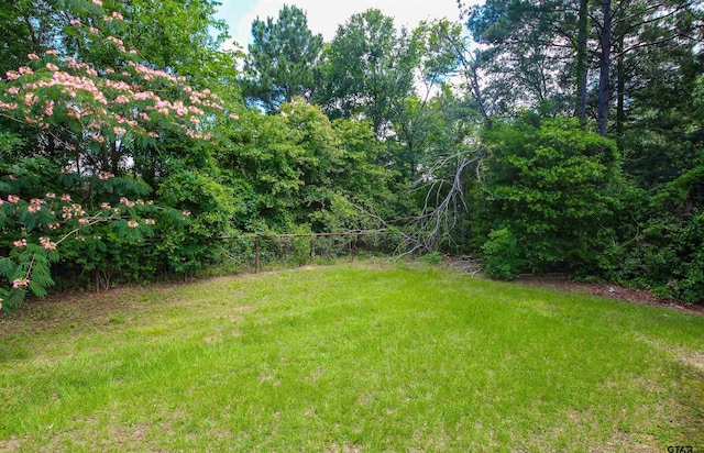 14832 Fm 2661, Flint, TX 75762 - view of green lawn