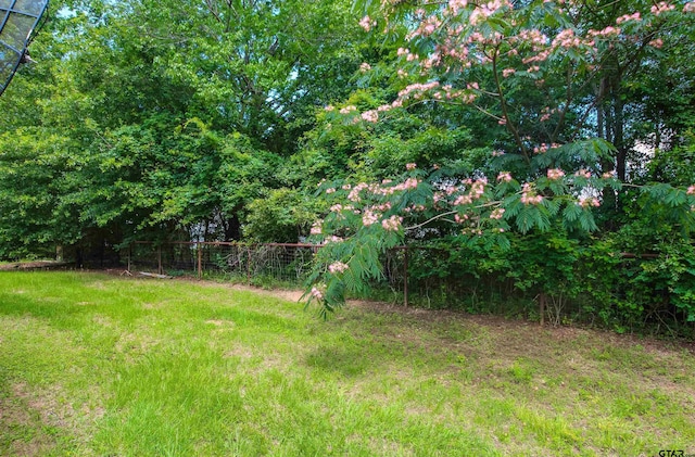 14832 Fm 2661, Flint, TX 75762 - view of yard