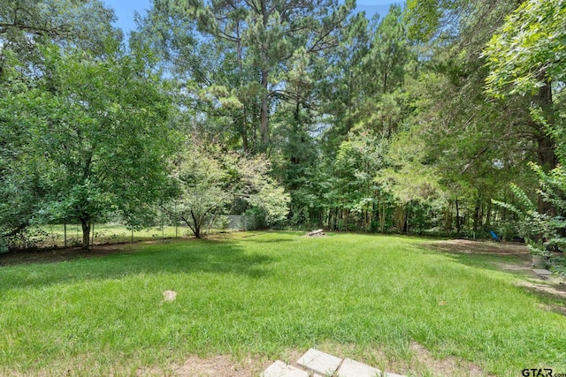 19682 County Road 2176, Whitehouse, TX 75791 - photo 27