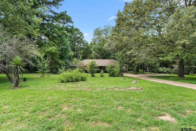 19682 County Road 2176, Whitehouse, TX 75791 - photo 24