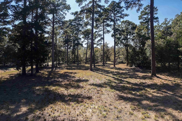 LOTS34-37 King Charles Rd, Scroggins, TX 75480