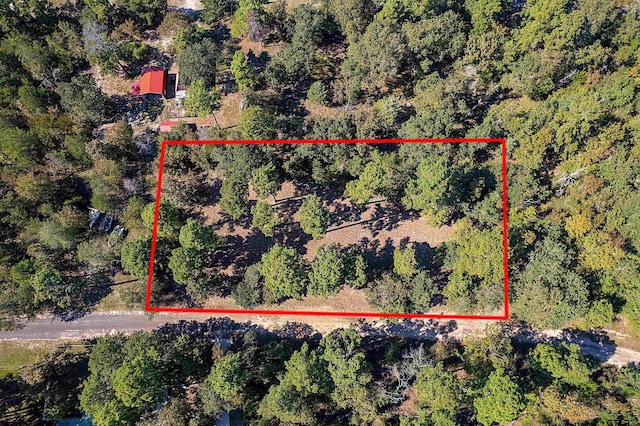 LOTS34-37 King Charles Rd, Scroggins, TX 75480