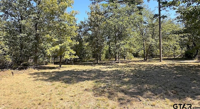 Listing photo 3 for 84-ACRE King Charles Rd, Scroggins TX 75480