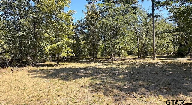 Listing photo 3 for 84-ACRE King Charles Rd, Scroggins TX 75480