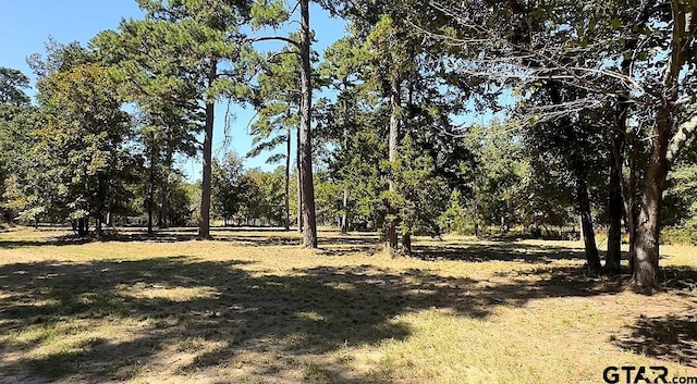 Listing photo 2 for 84-ACRE King Charles Rd, Scroggins TX 75480