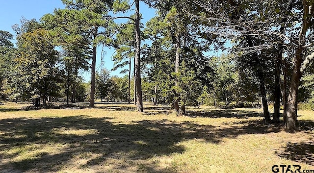 LOTS34-37 King Charles Rd, Scroggins, TX 75480