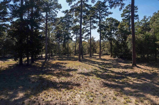 LOTS34-37 King Charles Rd, Scroggins, TX 75480