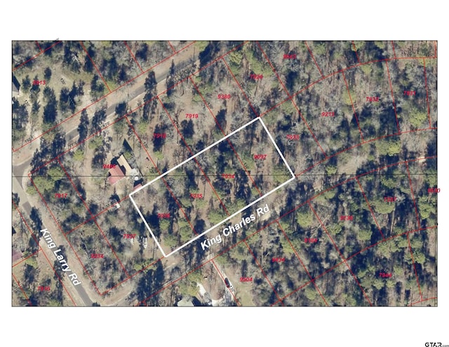 LOTS34-37 King Charles Rd, Scroggins, TX 75480