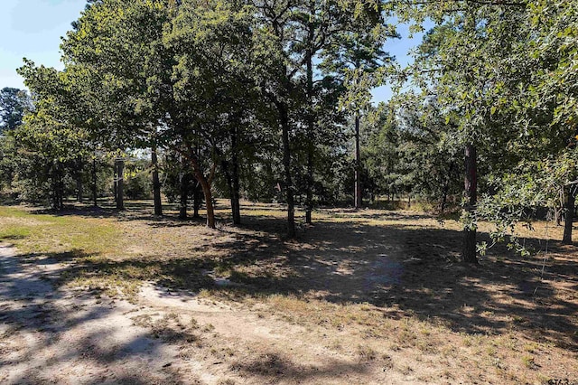 LOTS34-37 King Charles Rd, Scroggins, TX 75480