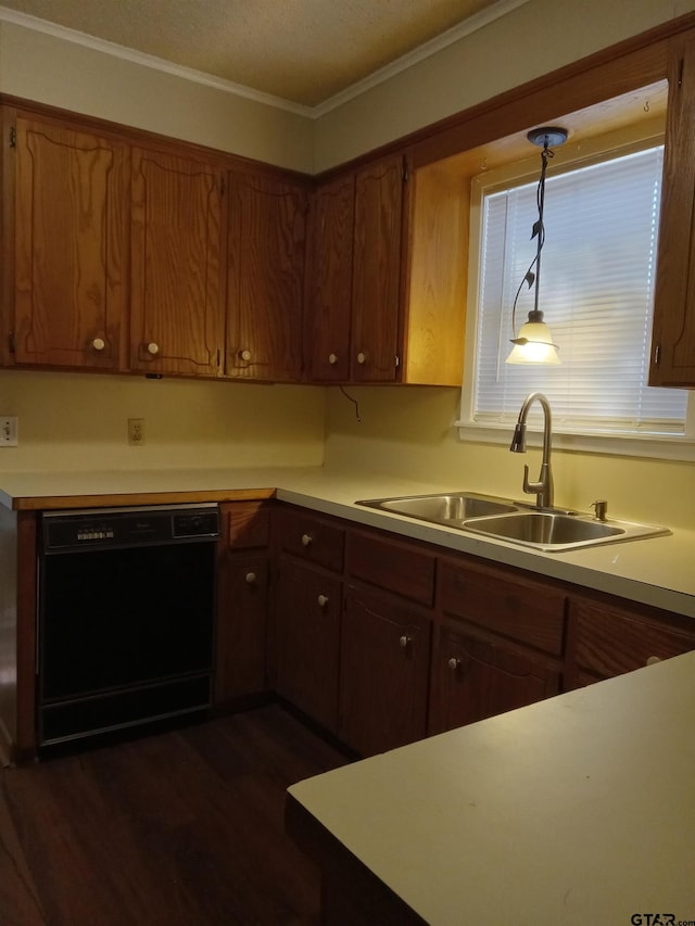 kitchen with sink, ornamental molding, pendant lighting, dark hardwood / wood-style flooring, and black dishwasher