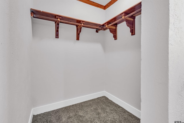walk in closet with carpet flooring