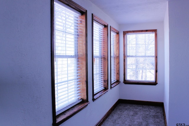 unfurnished room with carpet flooring