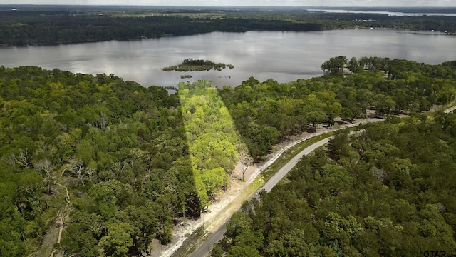 3200 Shadow Pine Dr, Larue TX, 75770 land for sale