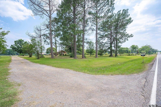 2983 Fm 17, Grand Saline, TX 75140 - view of road