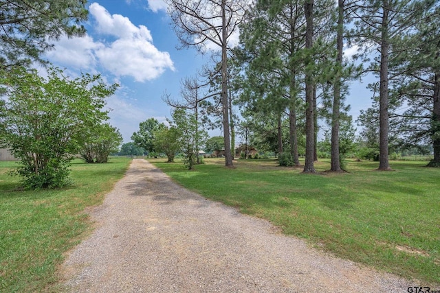 2983 Fm 17, Grand Saline, TX 75140 - view of road