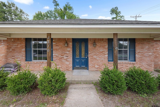 4816 Picadilly Pl, Tyler, TX 75703 - view of exterior entry featuring covered porch and brick siding