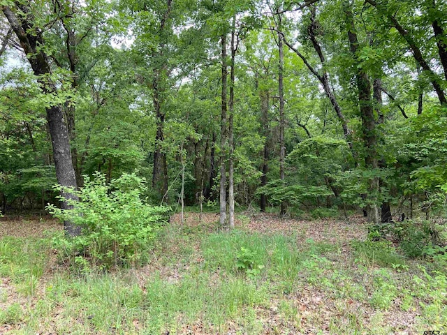 23388 Fm 1995, Lindale TX, 75771 land for sale