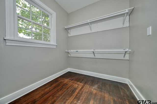 walk in closet featuring dark hardwood / wood-style floors