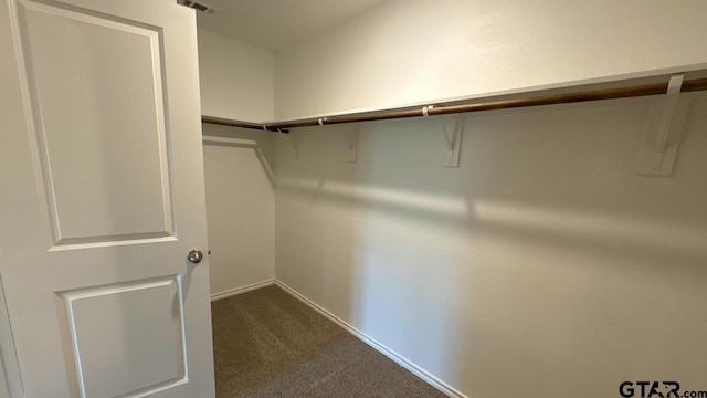 walk in closet featuring carpet flooring