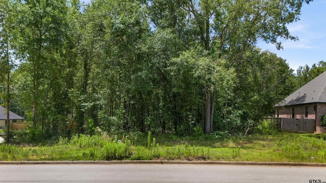 9283 Caddo Ridge Cv, Tyler, TX 75703 - photo 11