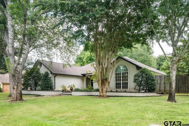 back of house featuring a yard