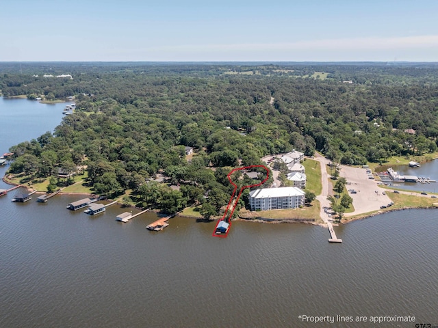 17795 Lookout Ln, Flint, TX 75762 - birds eye view of property with a water view and a view of trees