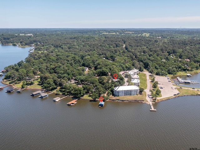 17795 Lookout Ln, Flint, TX 75762 - drone / aerial view with a water view and a forest view