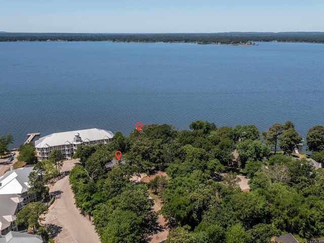 17795 Lookout Ln, Flint, TX 75762 - birds eye view of property featuring a water view