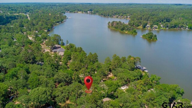 437 Hideaway Ln, Central, Hideaway, TX 75771 - photo 46
