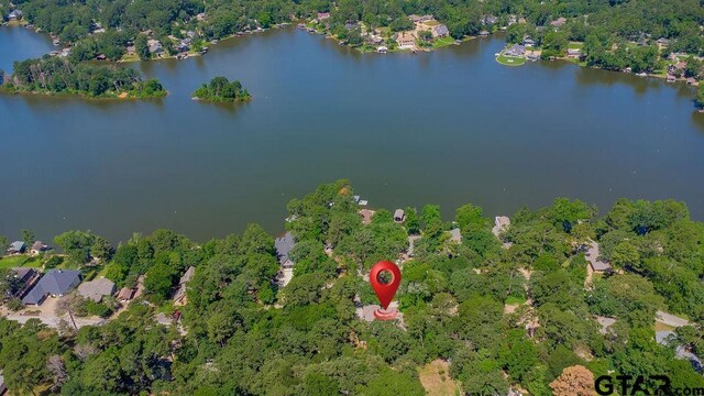437 Hideaway Ln, Central, Hideaway, TX 75771 - photo 45