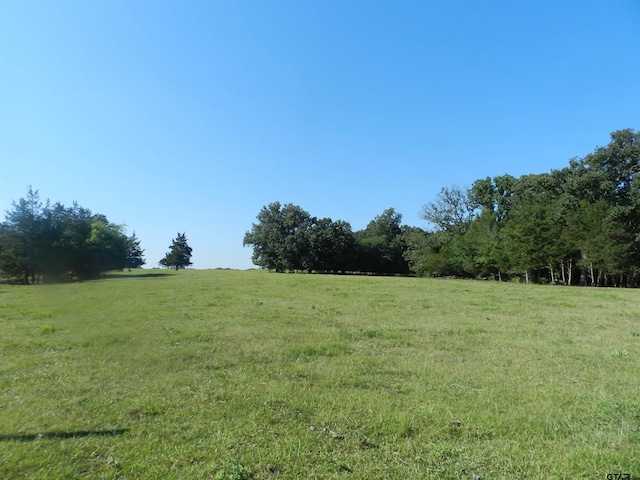 Listing photo 3 for TBD W Fm 71, Talco TX 75487