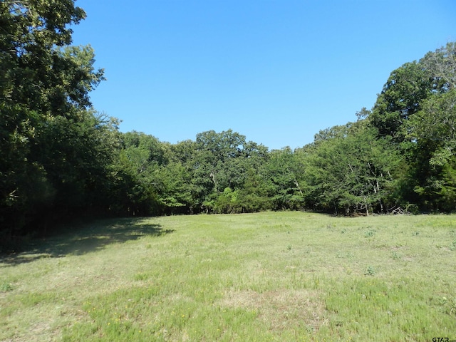 TBD W Fm 71, Talco TX, 75487 land for sale