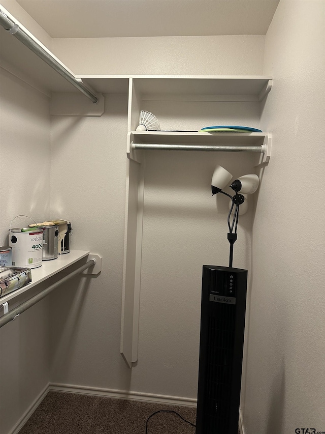 spacious closet with carpet floors