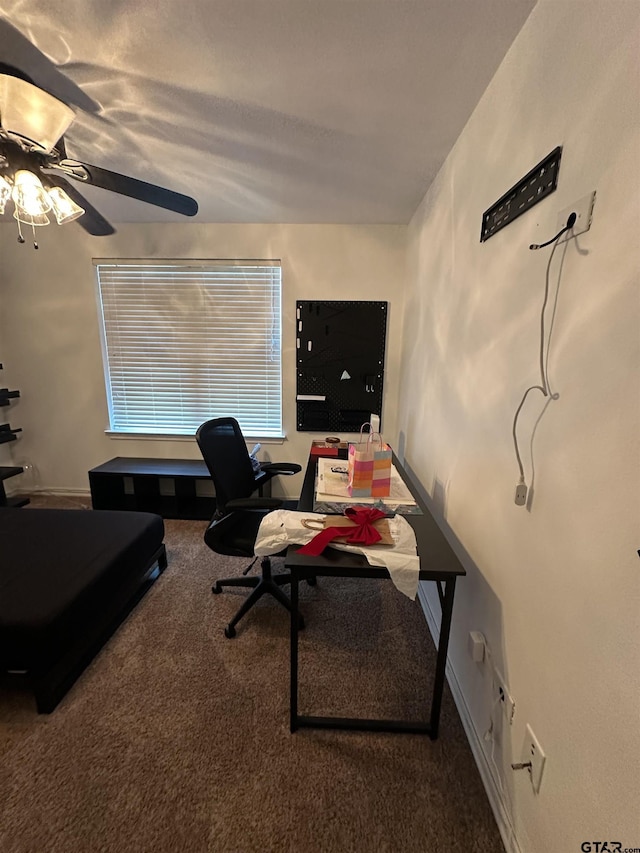 office area featuring a ceiling fan and carpet