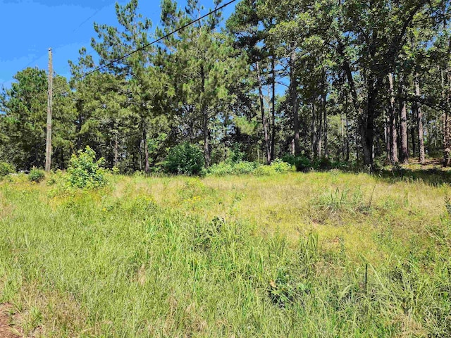 16373 County Road 436, Lindale TX, 75771 land for sale