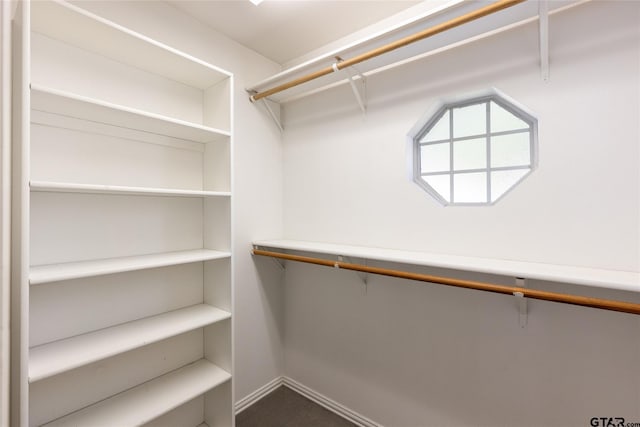 view of spacious closet