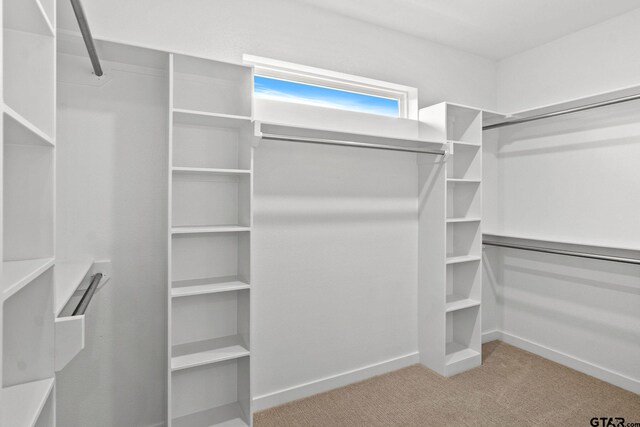 walk in closet with light carpet