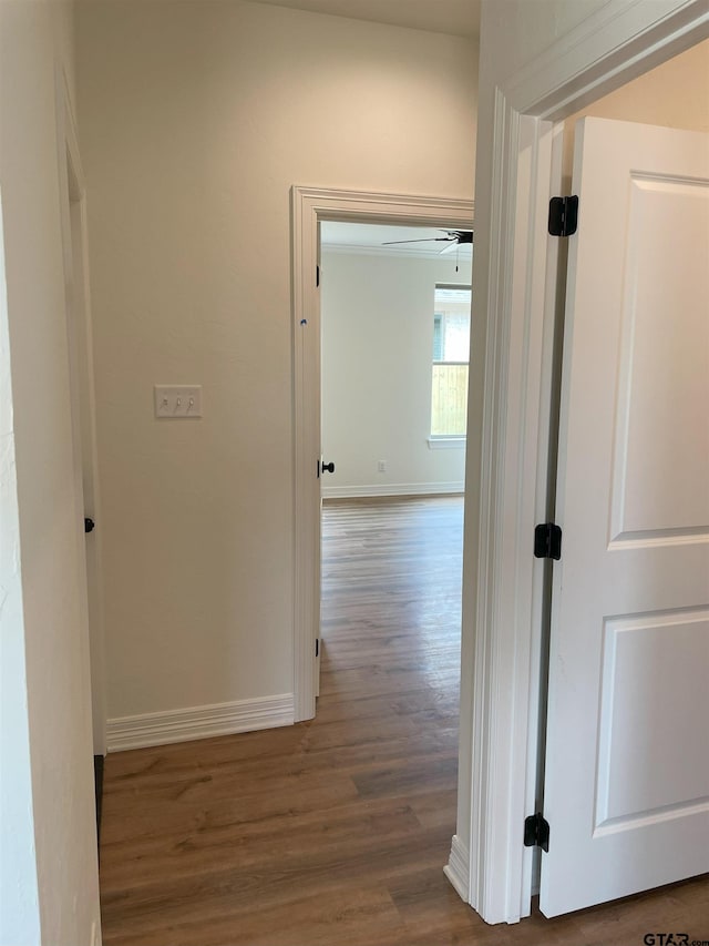 hallway featuring dark hardwood / wood-style floors