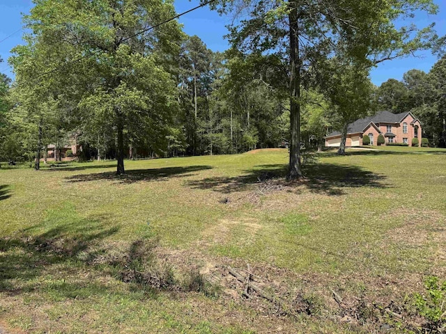 18050 Deer Trl, Flint, TX 75762 - view of yard