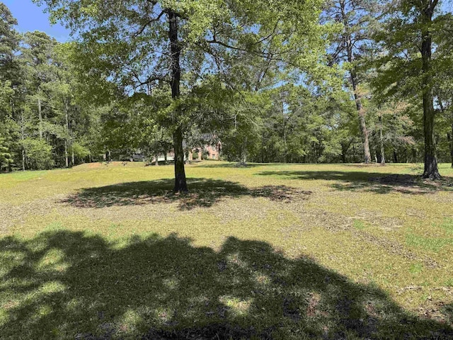 18050 Deer Trl, Flint, TX 75762 - view of yard