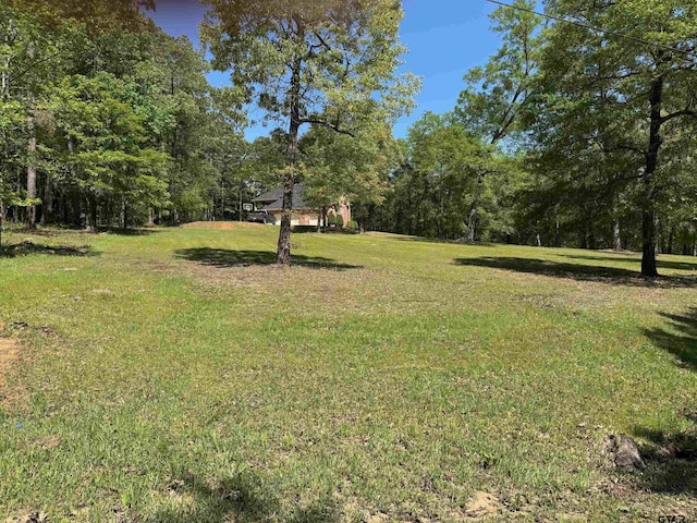 18050 Deer Trl, Flint, TX 75762 - view of yard