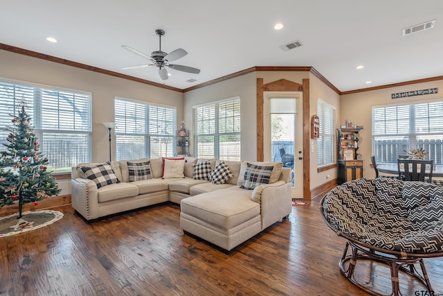 living room with dark hardwood / wood-style flooring, a wealth of natural light, crown molding, and ceiling fan