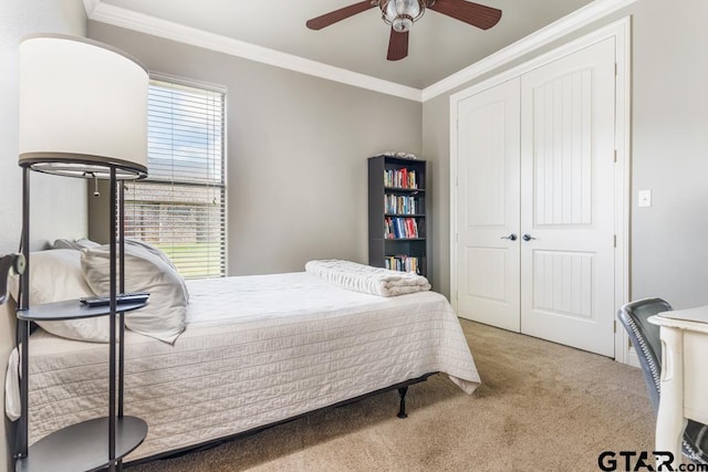 carpeted bedroom with a closet, ceiling fan, and crown molding