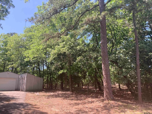 view of yard with a garage