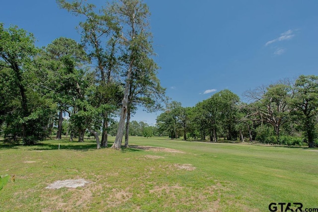 225 Texas Dr, Hideaway, TX 75771 - surrounding community featuring a yard