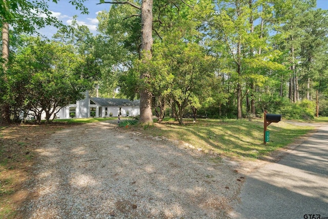 view of front facade featuring driveway